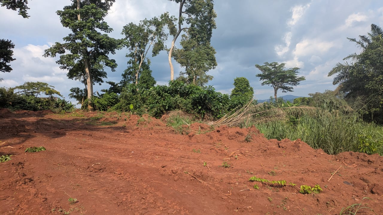 Terrain premium au Cameroun