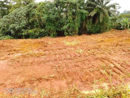 Terrains disponibles au Cameroun