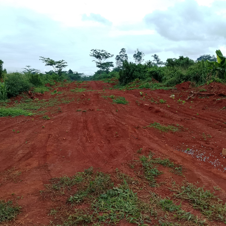 Domaine Agricole Mbankomo