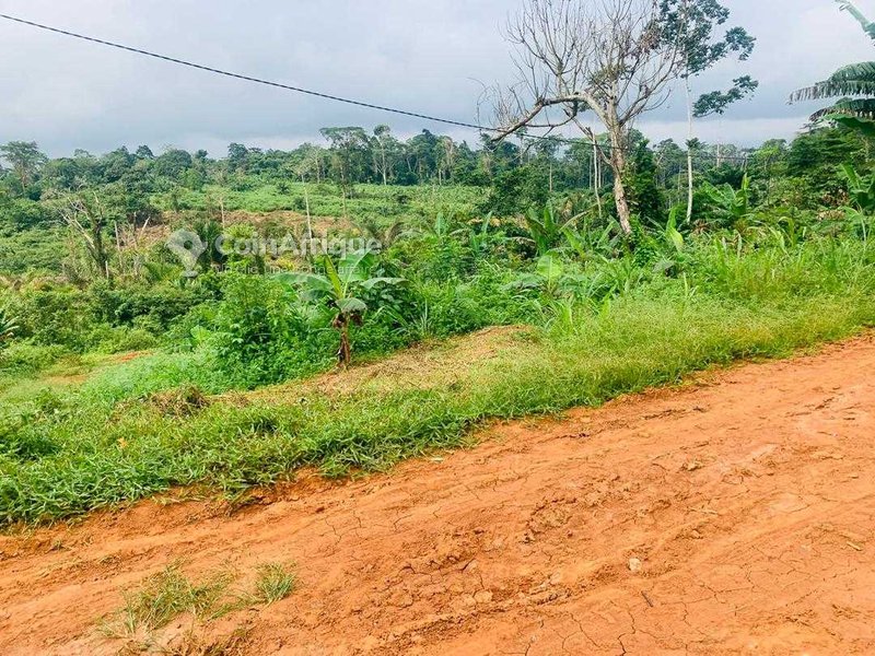 Lotissement Nkometou Ouest